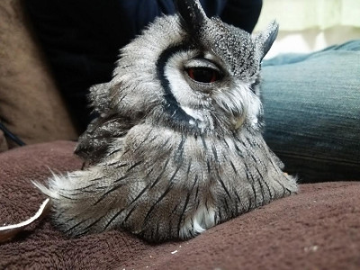 スイッチオンしなくていいから。