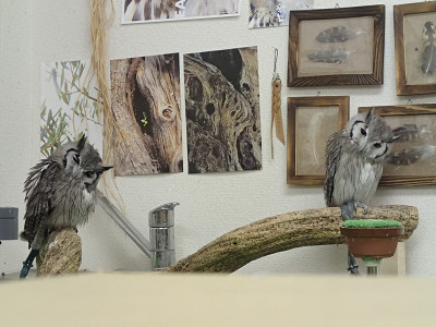 そのポーズ・・・。