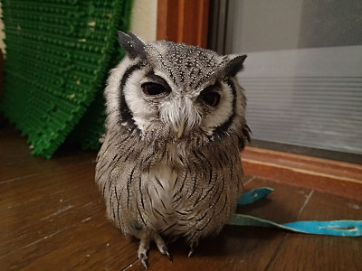 お友達を紹介します♪