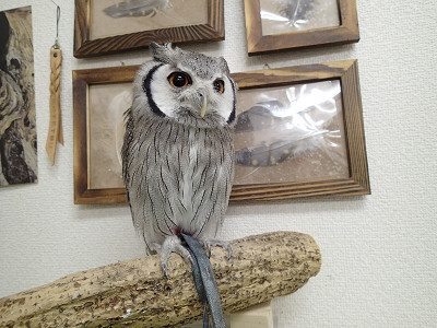 龍空ちゃん、いいお顔。