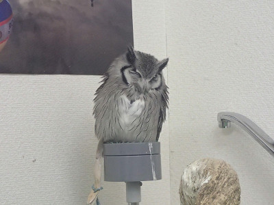 いつもの風景、間違い探し。