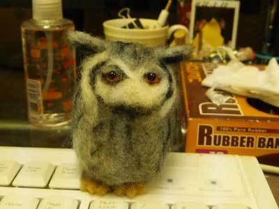 虎鉄のそっくりさん♪