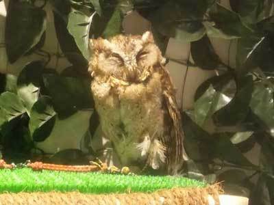 ピッコログーフォさんに行ってきた！