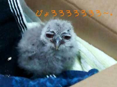 秘蔵写真（笑）