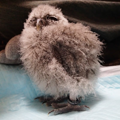 貫禄も出てきました。