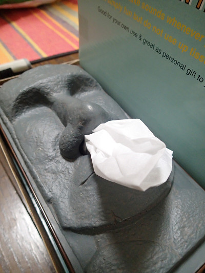 新しい止まり木