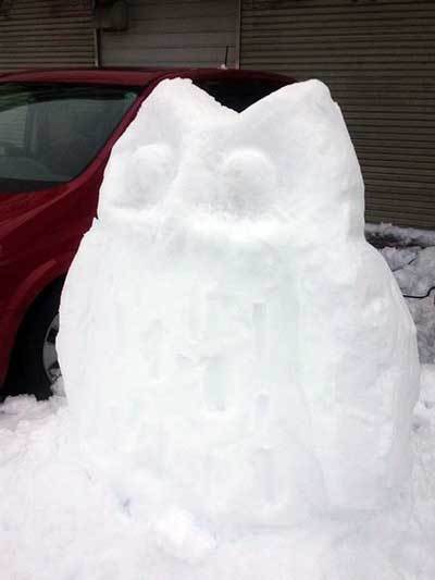 雪フクロウが変身したよ。