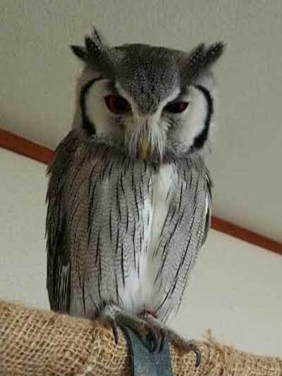 龍空、ちょっと元気がない。