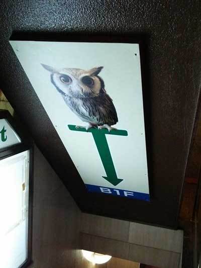 鳥のいるカフェ 浅草店