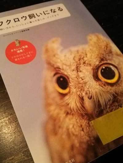『フクロウ飼いになる』に刺激される。