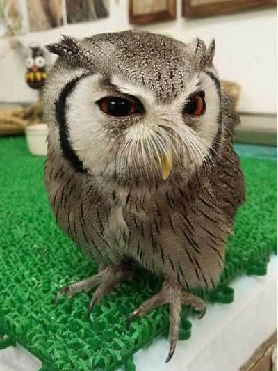 今日は少し元気に・・。