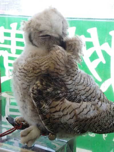 やっぱり可愛いね～。