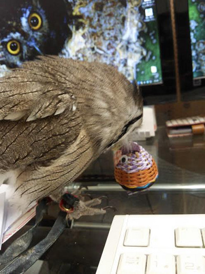 イライラが止まらない！