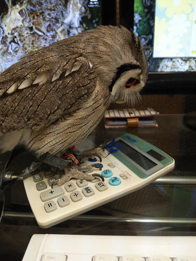 龍空専務と虎鉄社長。