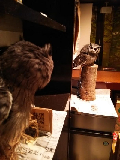 チーム・ゆるきゃら