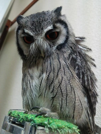 道のりは長い。