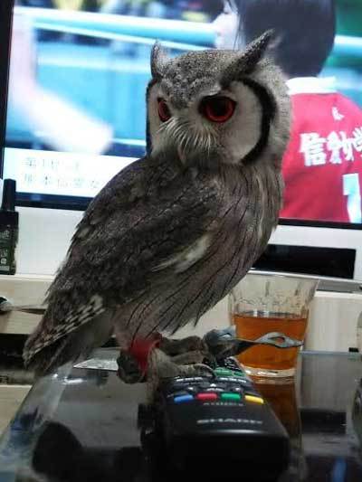 龍空の大好きなものは？