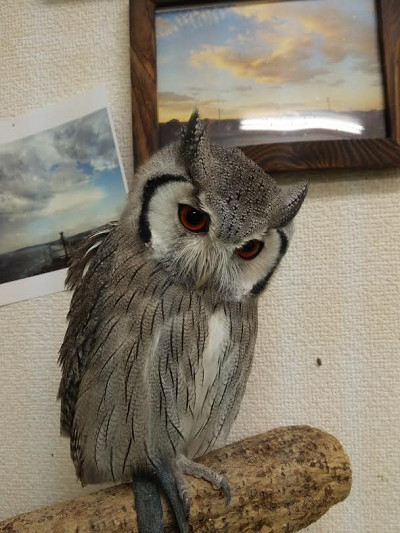 久々のお出かけ。