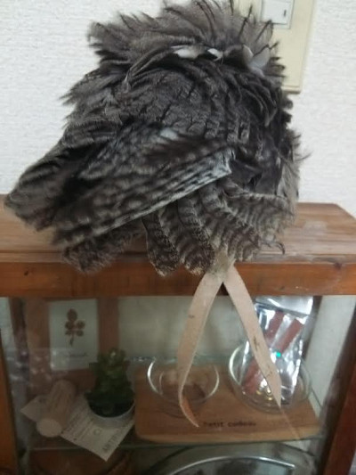 虎鉄の尾羽がどうなったかというと・・。