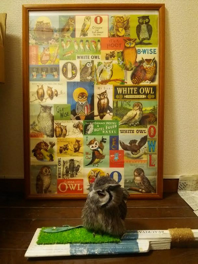 いいね、niko and…。