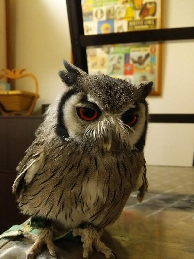 今日はサボります。