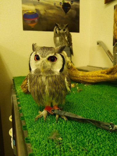 春ですね～みなさんのところは？