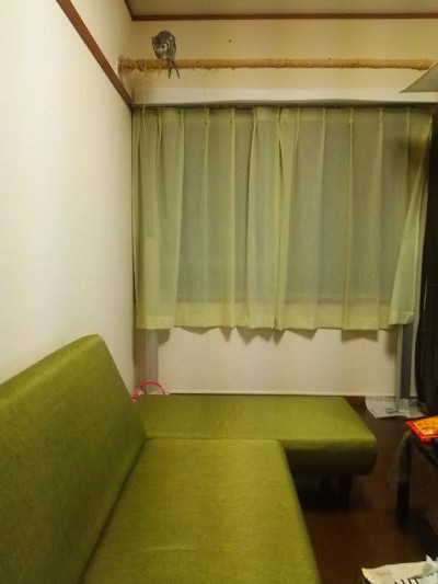 ソファ、新調しました。