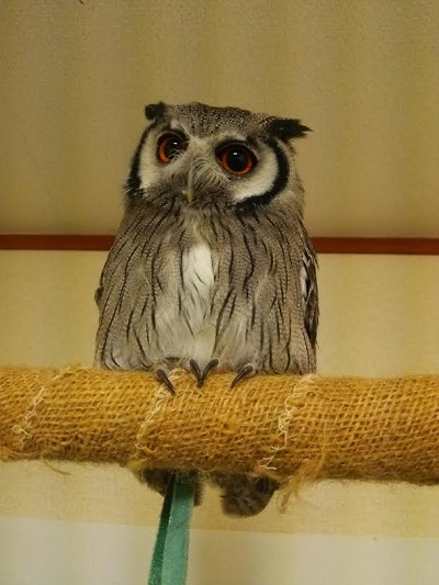 ２歳の誕生日♪