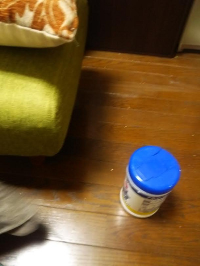 新・龍空ちゃんのお気に入り。