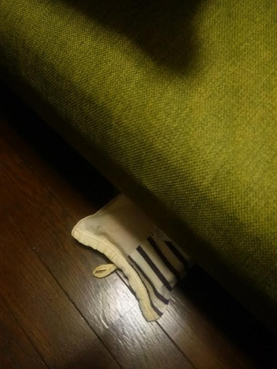 今日も・・・。