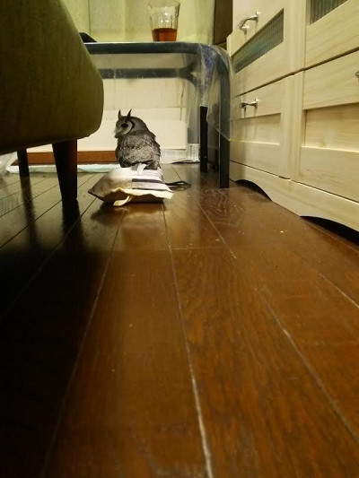 なんどもしつこくてスミマセン（笑）