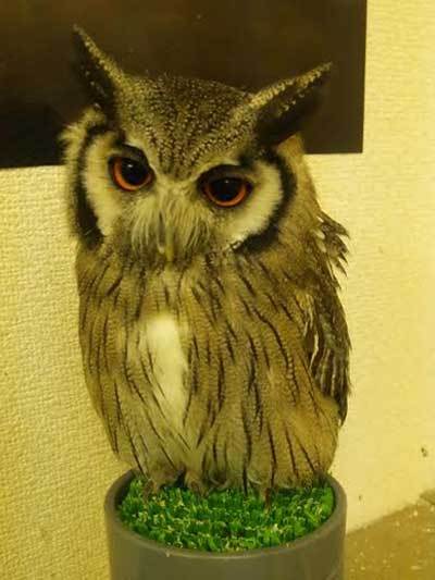 よきライバル。