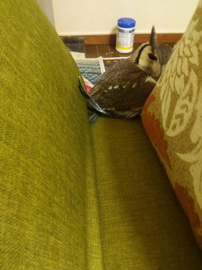 イタズラ見つかちゃった。