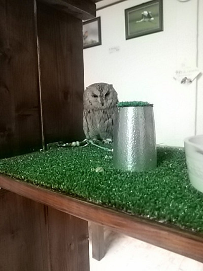 関西方面～２日目－２。