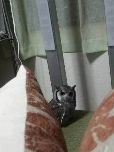 みんな見守ります。