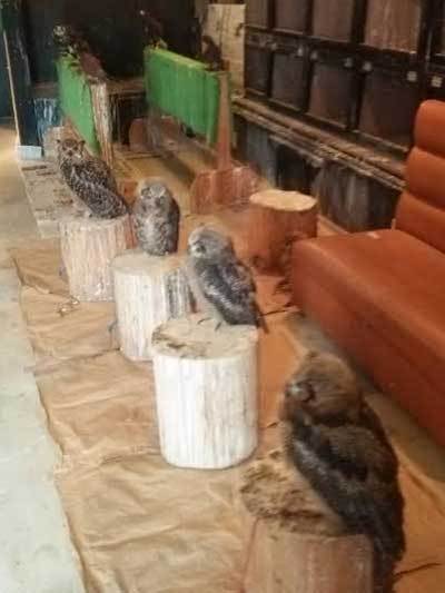 市原店の様子。