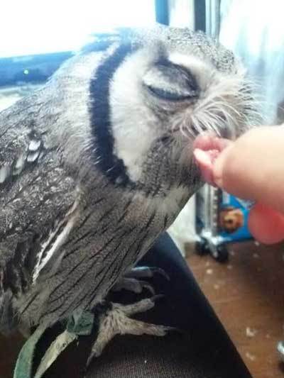 よけいなお世話でした。