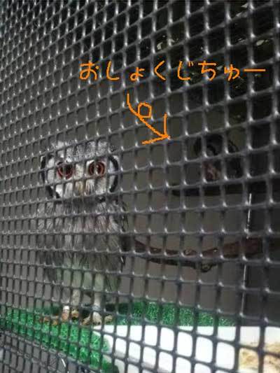 夫婦間の連携。