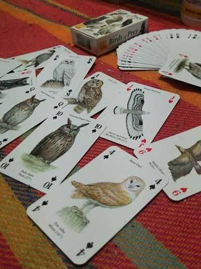 戦利品、猛禽トランプ