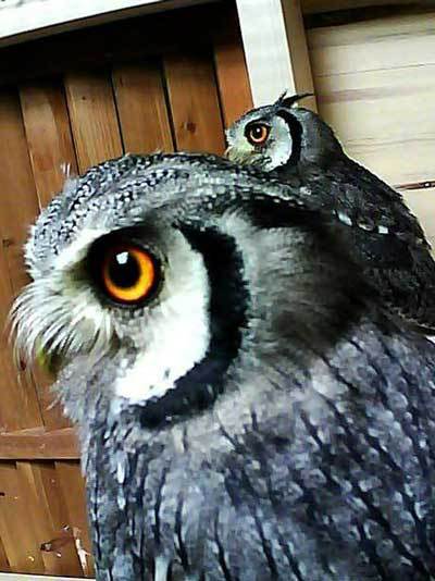 新居にお引越し。