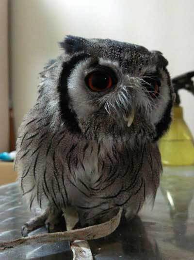 ご飯前は戦場のよう。