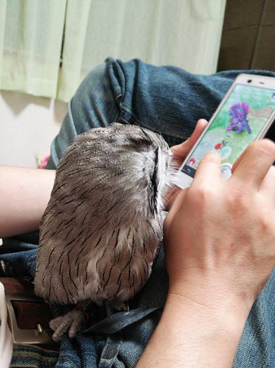 悪い顔グランプリ、優勝できるよ。