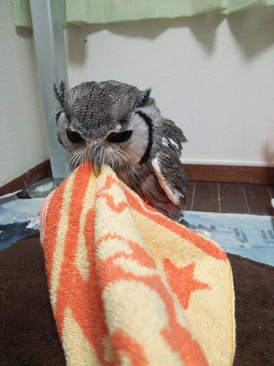 いつまで続くことやら・・。