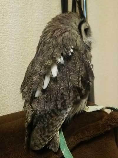 なつかしさがあふれました♪