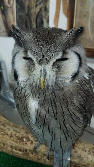 龍空の検査結果は良好！