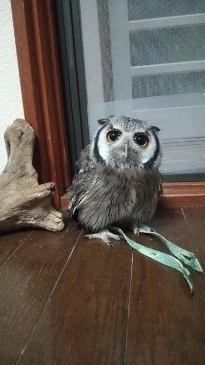 巨大ビルディングの出現に・・。