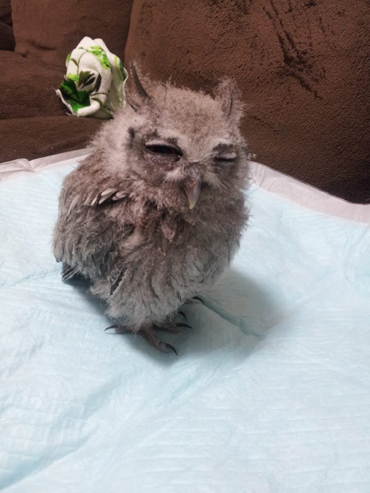 昨夜、大事件。