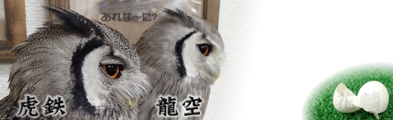 タイトル画像の歴史。第２弾。