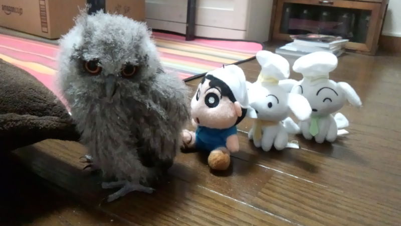 くれよんしんちゃんと遠足。