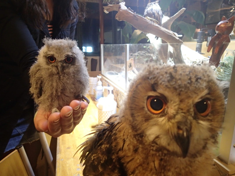 リトルズーさんに遊びにいきました2